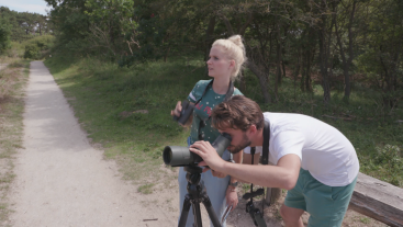 Vogels kijken