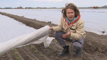 Slateelt op het water