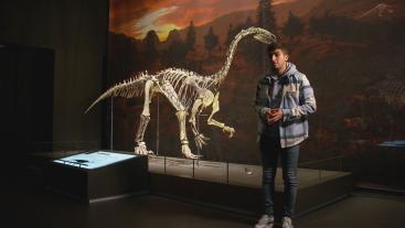 Paleontologie