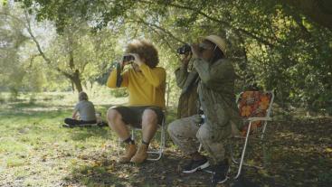 Vogels in de stad