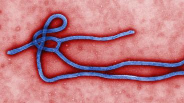 agenda-ebola