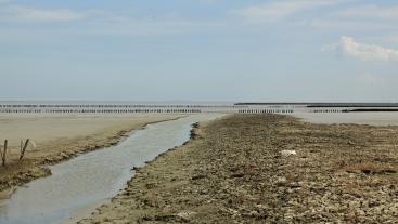 waddenzee achtergrond