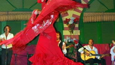 flamenco